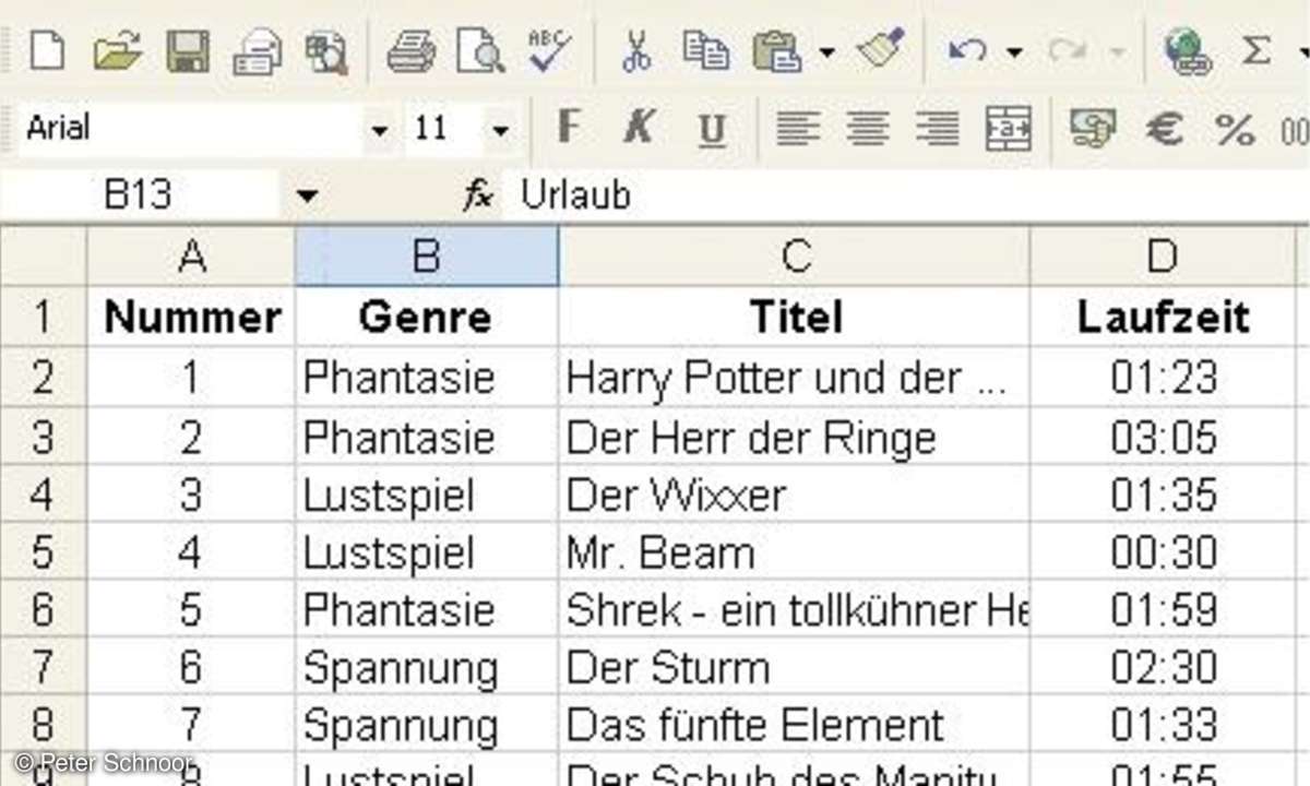 Datenbanken mit Excel