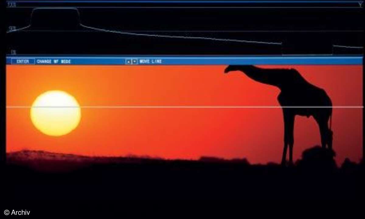 Waveform-Monitor