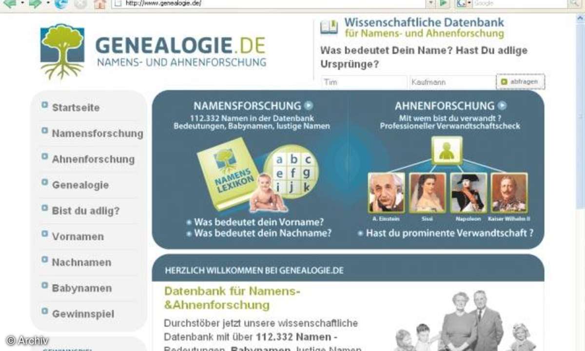 Haifischbecken Internet...