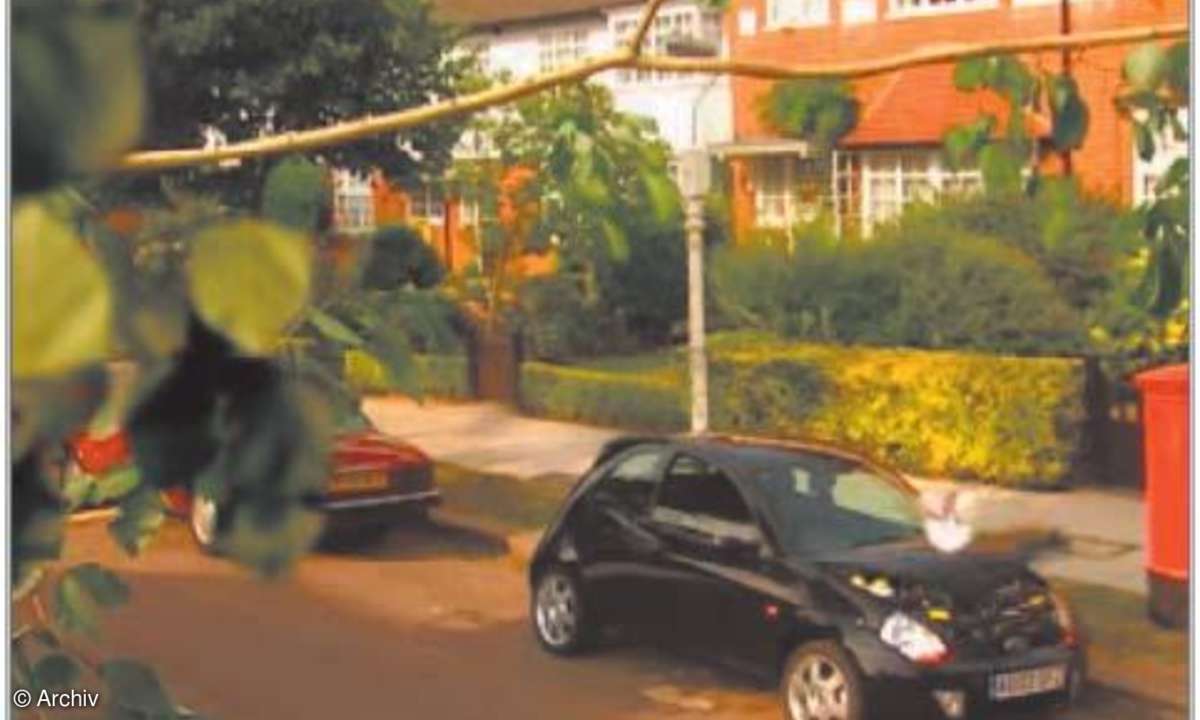 Video-Portale im Internet