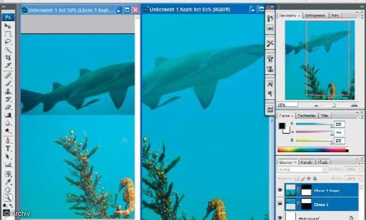 Bildbearbeitung mit Adobe Photoshop CS3