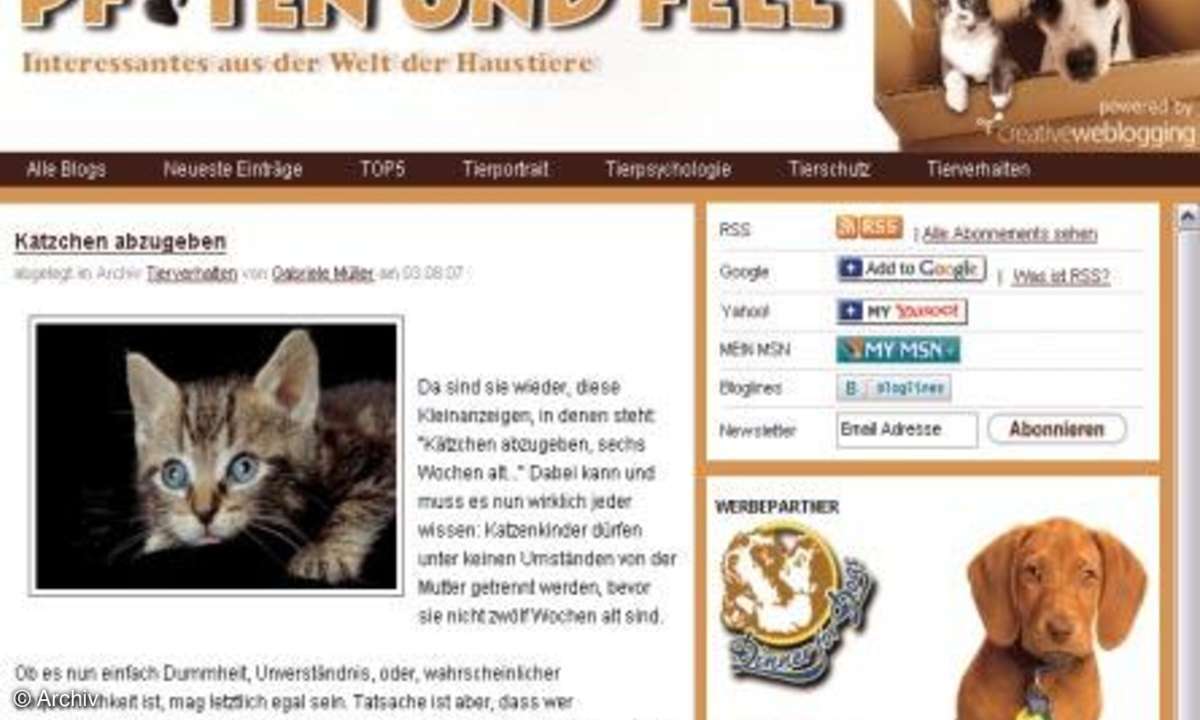 Tierische Blogs