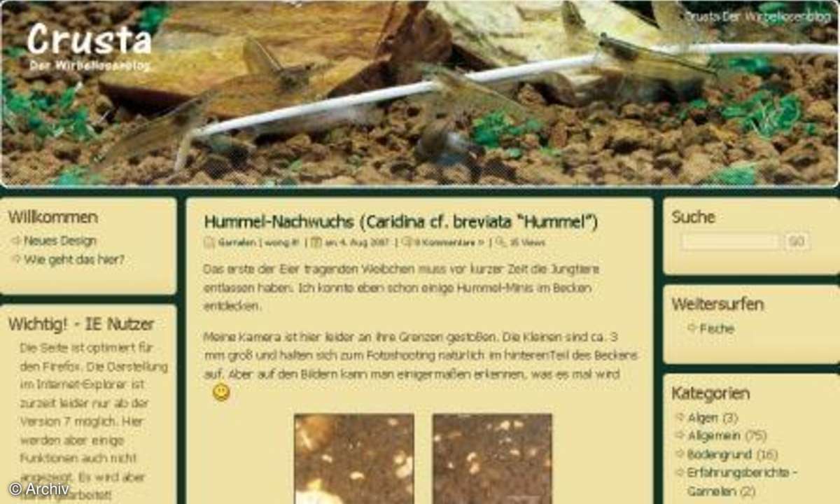 Tierische Blogs
