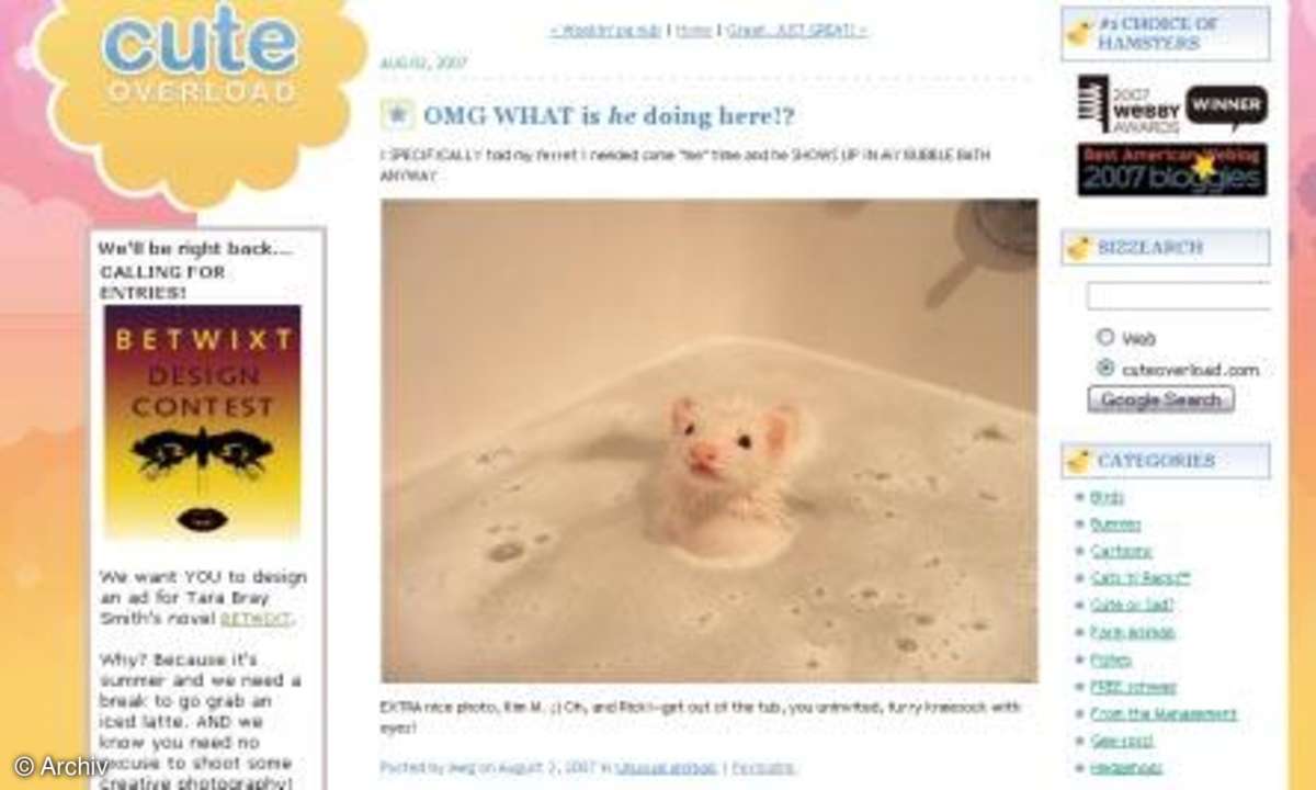Tierische Blogs