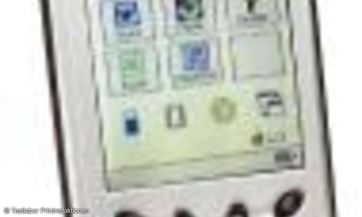 PDAs: Kleine Organisations-Riesen