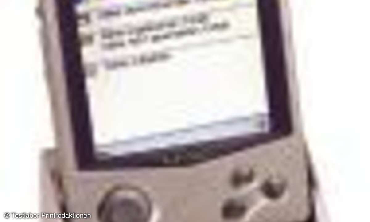 PDAs: Kleine Organisations-Riesen