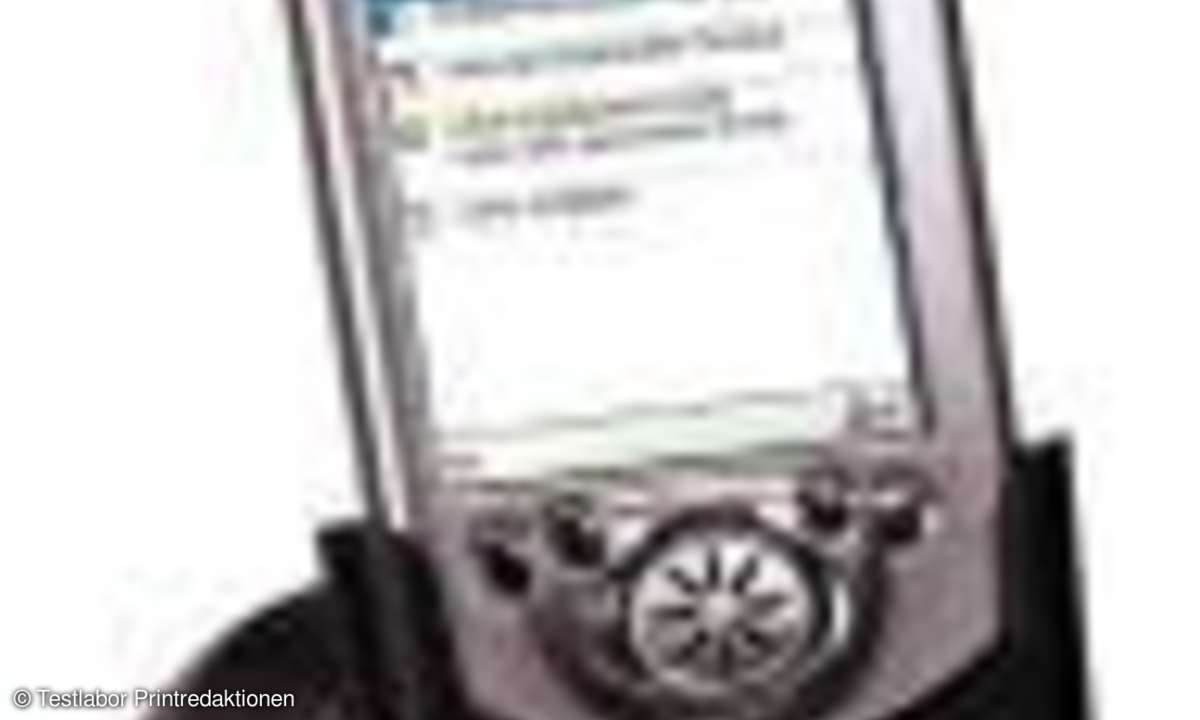 PDAs: Kleine Organisations-Riesen