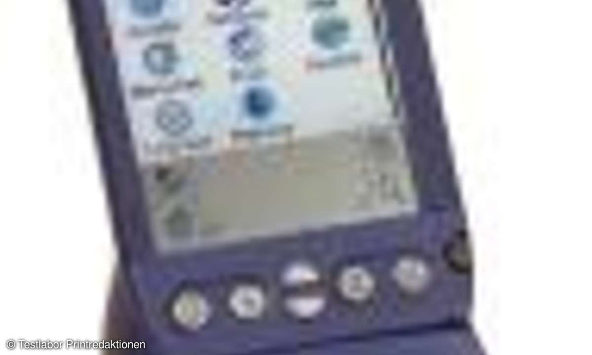 PDAs: Kleine Organisations-Riesen