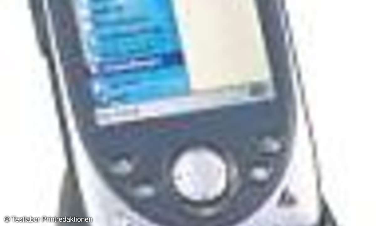 PDAs: Mobiler Begleiter