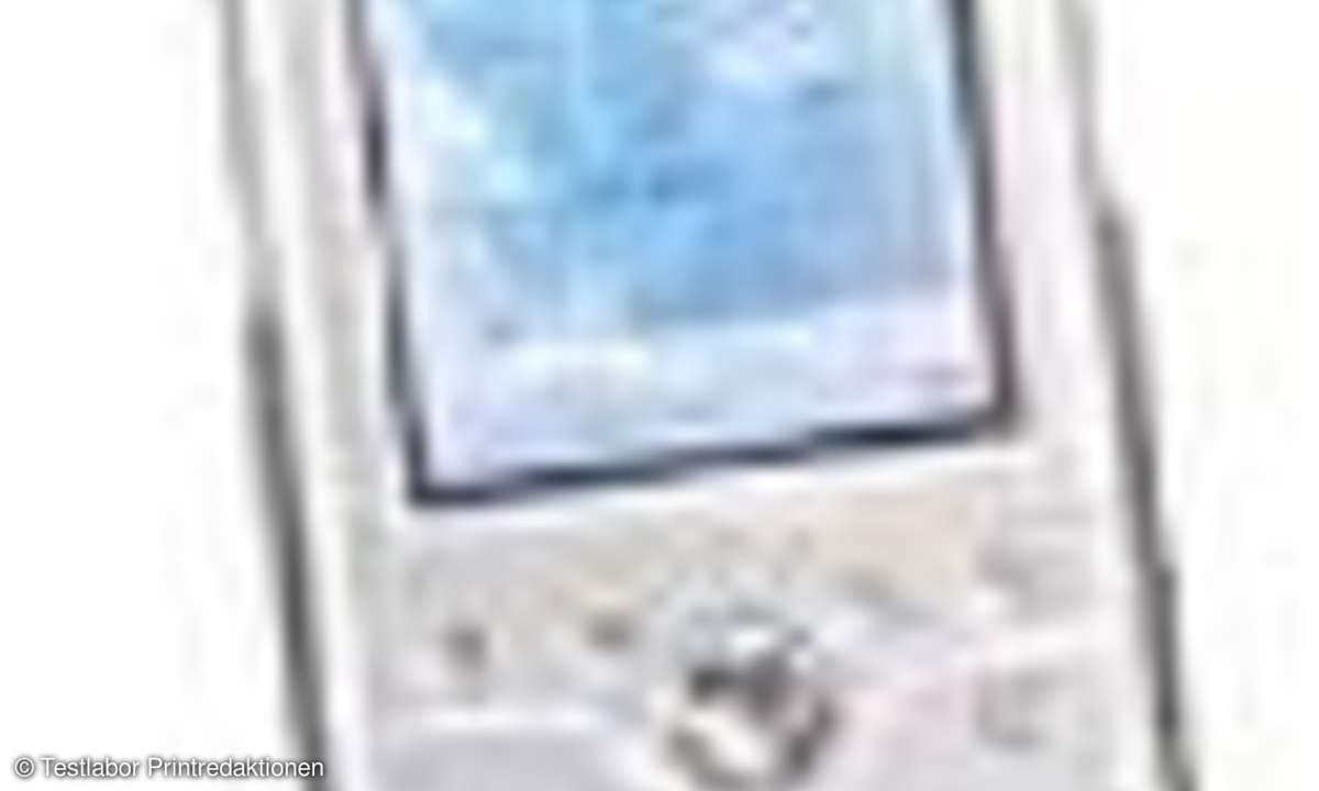 PDAs: Taschenwunder