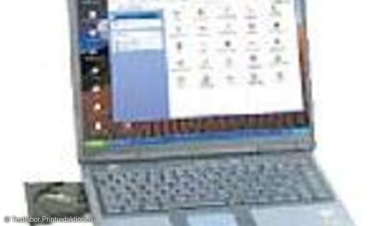 Notebooks: Kleine ganz groß