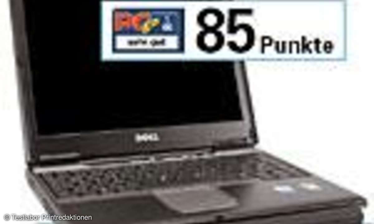 Notebooks: Dell Latitude D410