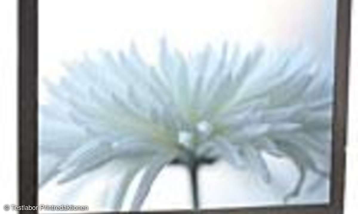 TFT-Displays: Kontrastreich
