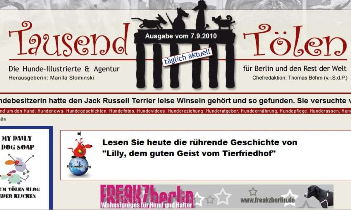 website,internet,hunde