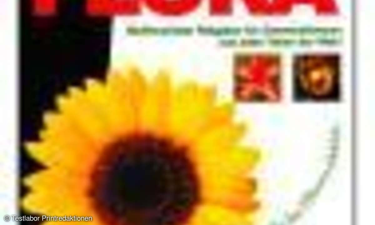 Garten & Botanik: Es grünt so grün
