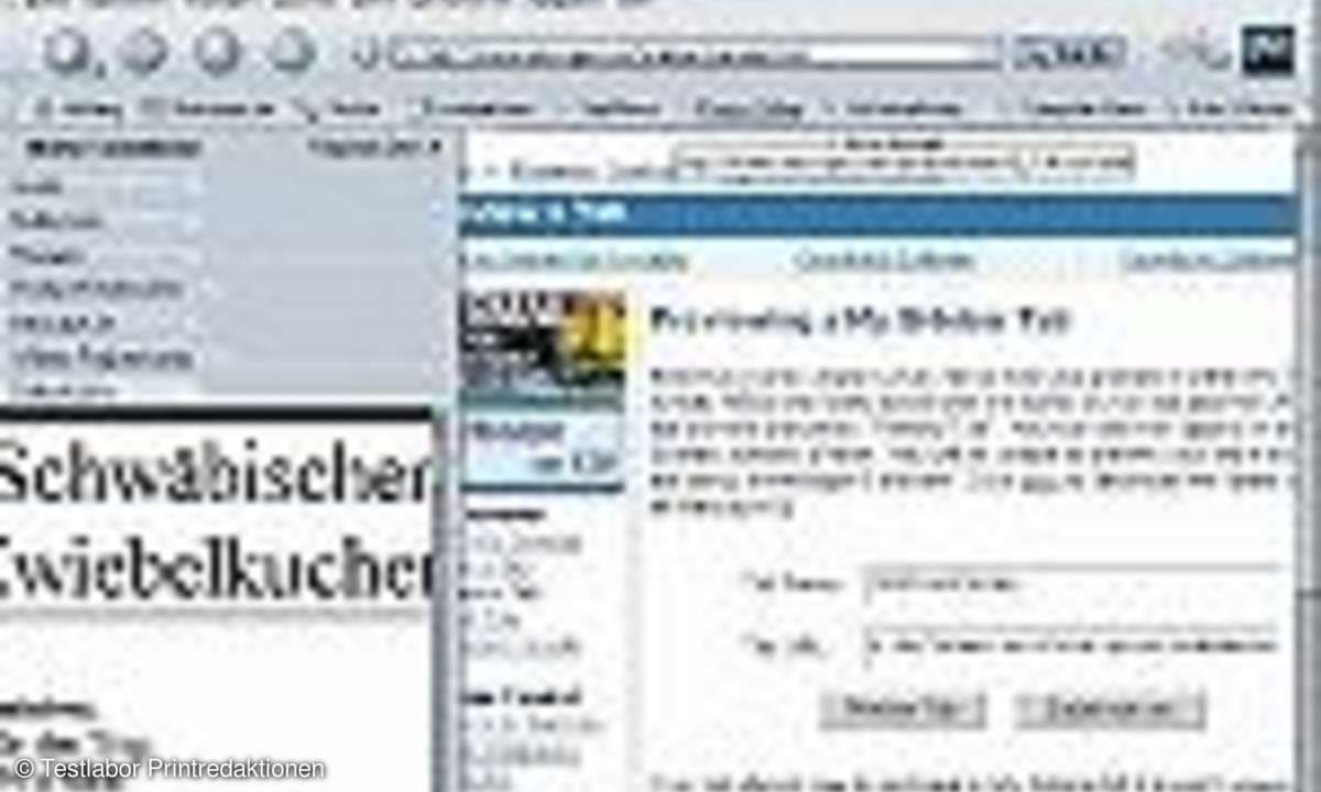 Webbrowser: Mit frischem Wind