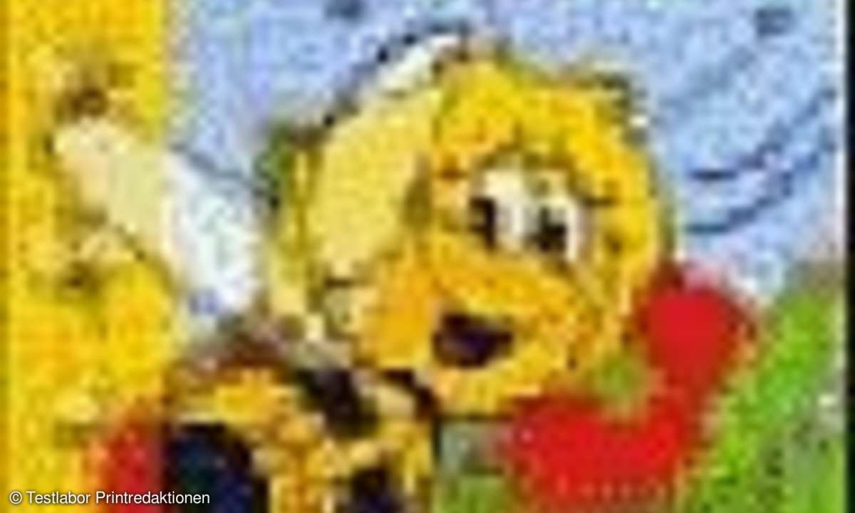Kindersoftware: Berühmte Biene