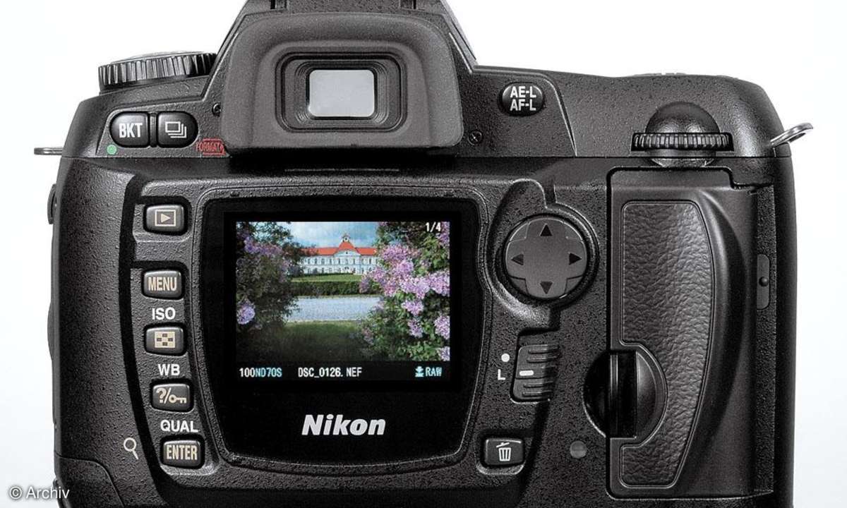 Nikon D70s Rückseite/Display