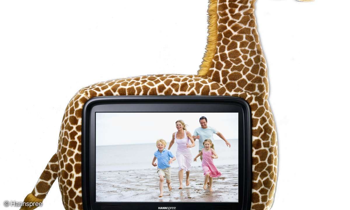 Tier-LCD-TVs von Hannspree