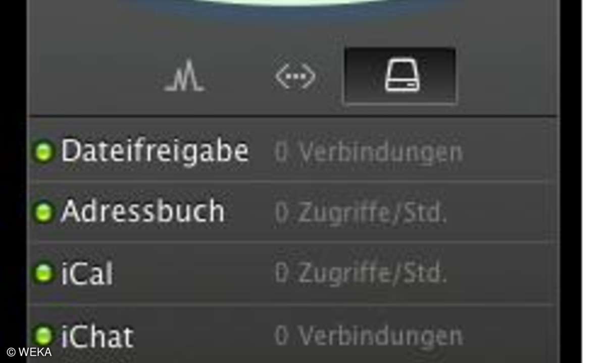 Dashboard-Widget des Servers