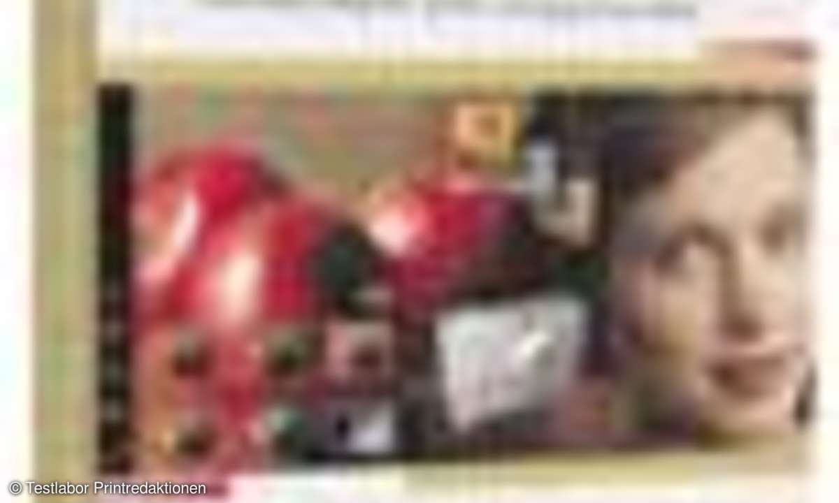 Bildbearbeitungs-Software: Jasc Paint Shop Pro 8