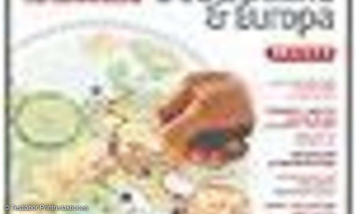 Routenplaner: Der richtige Weg