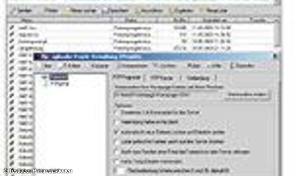 FTP-Programme: WWW-Spezialist