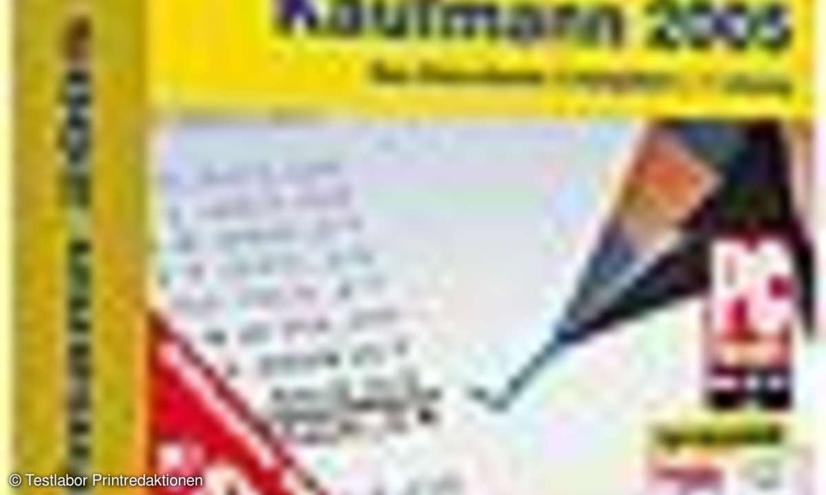 Kaufmännische Software: Mächtiger Zahlmeister