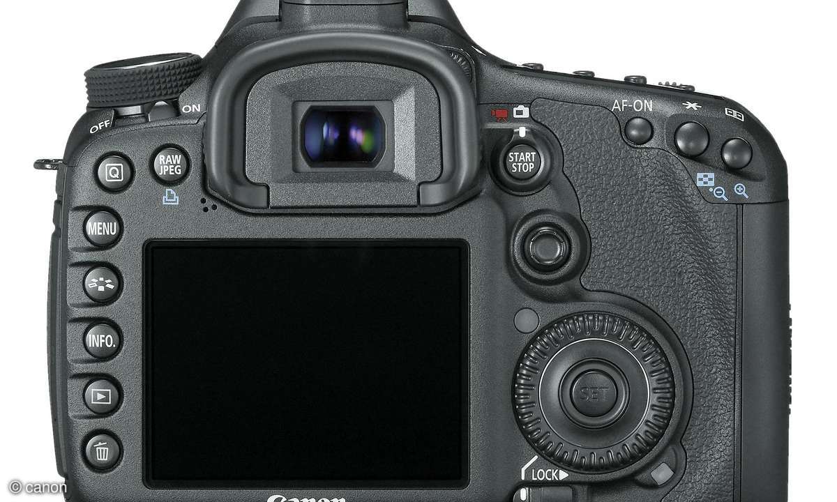 canon 7d