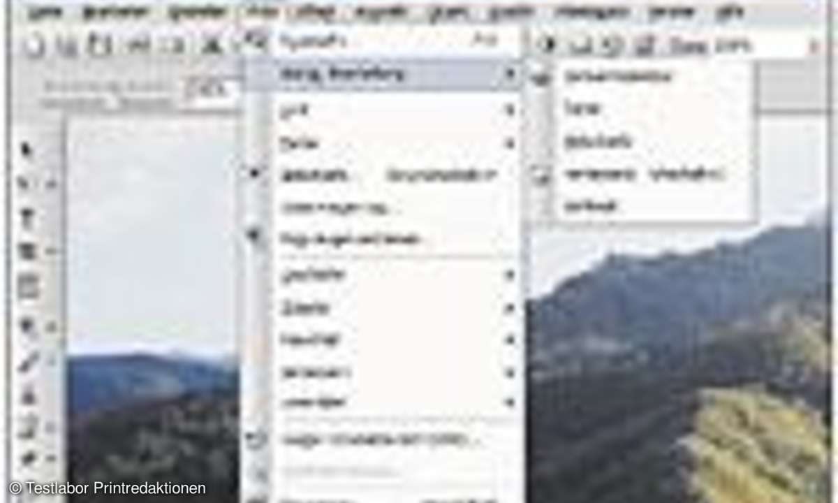 Bildbearbeitungs-Software: Fotopolierer