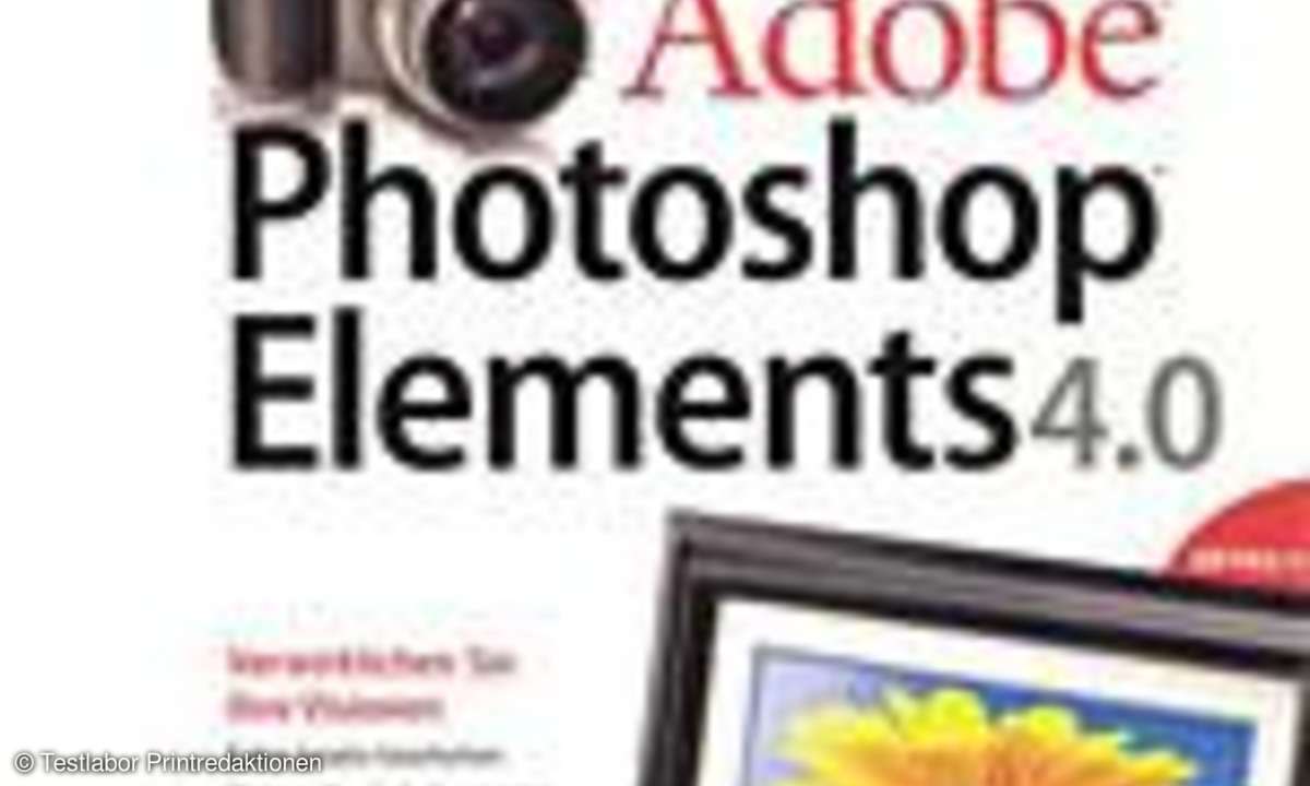 Bildbearbeitungs-Software: Im richtigen Element