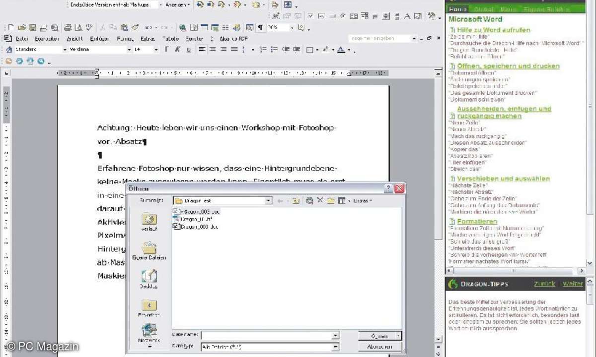 Dragon Naturally Speaking 11, office, Spracherkennung