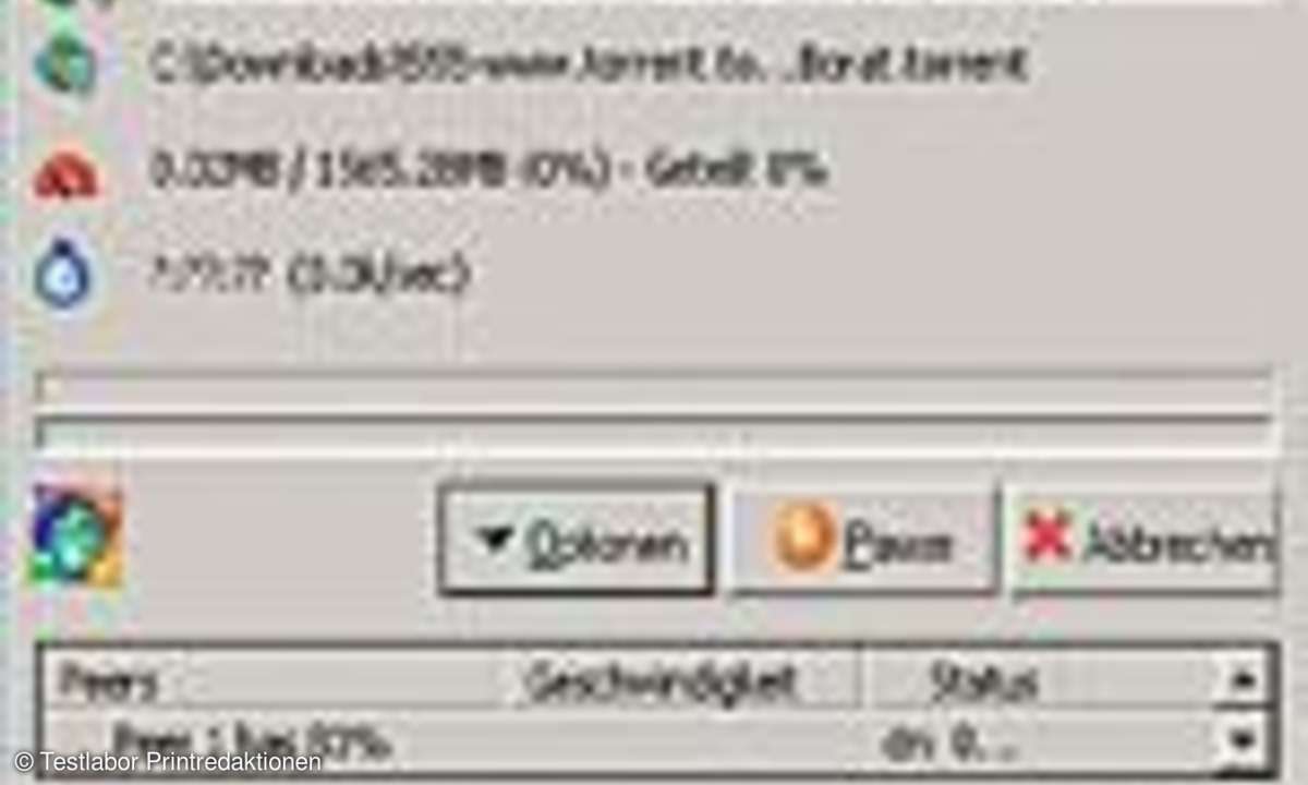 Download-Manager: Turbosauger