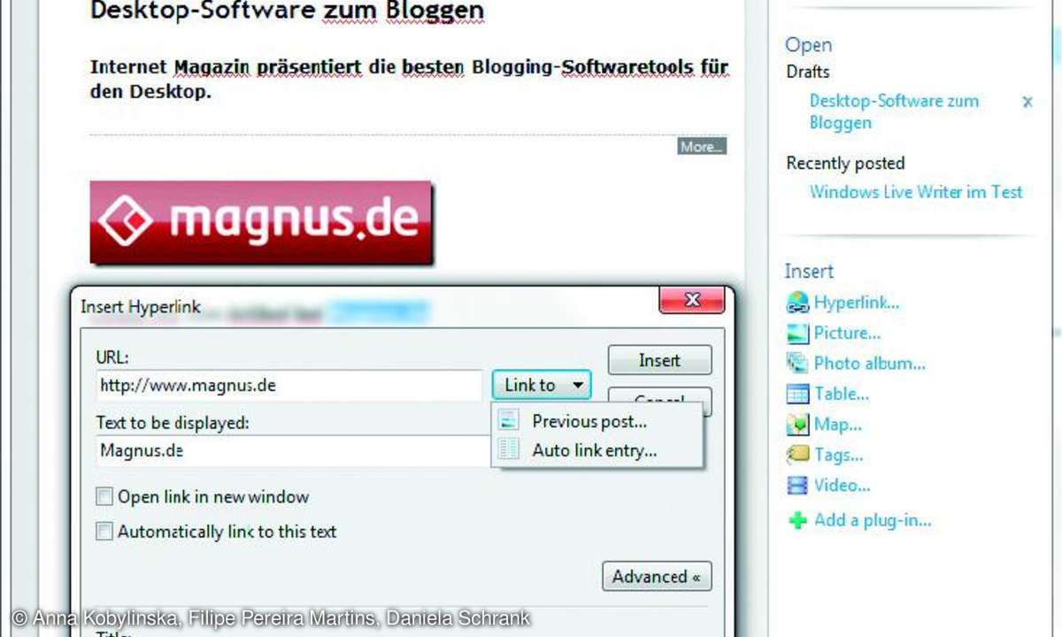 internet, webdesign, software, desktop-software, tools, blogger