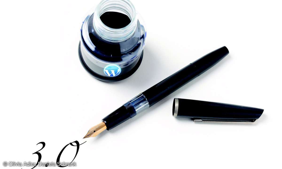 internet, webdesign, cms, programmierung, software, wordpress, wordpress 3.0