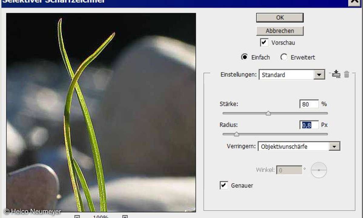 Richtig scharfe Bilder
