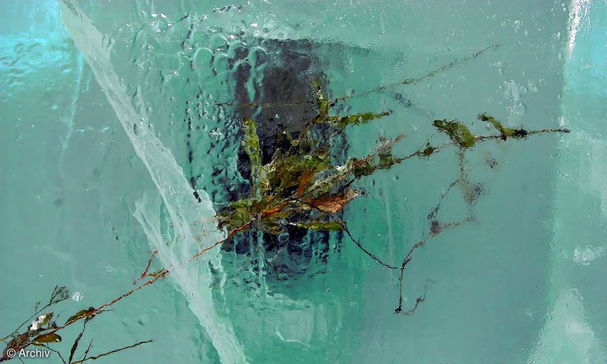 Digicam: Fototipps für den Winter