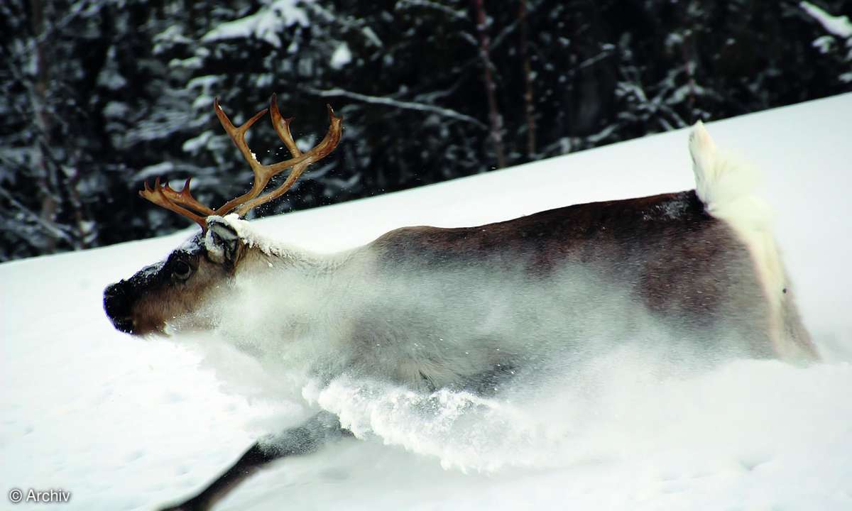 Digicam: Fototipps für den Winter