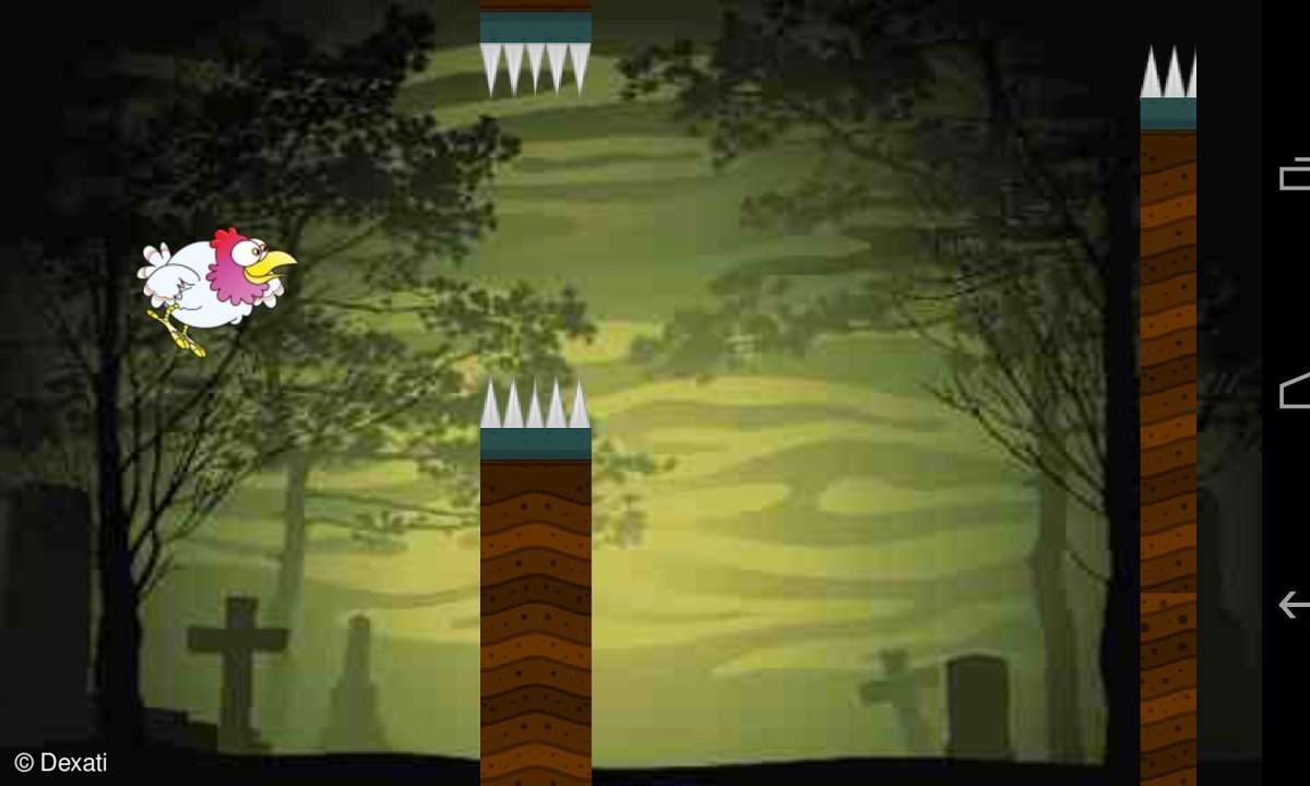 Flappy Chicken
