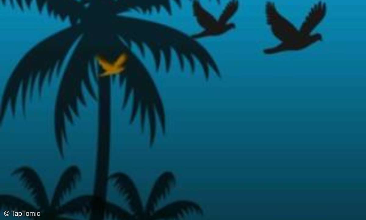 Fly Birdie App