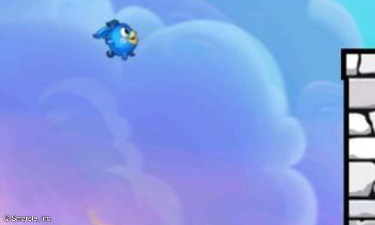 Smarcle Flyer