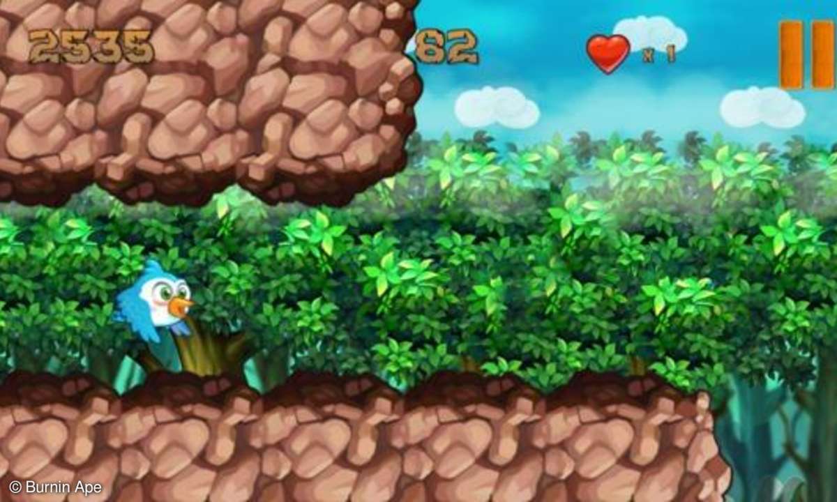 Fluffy vs Flappy birds