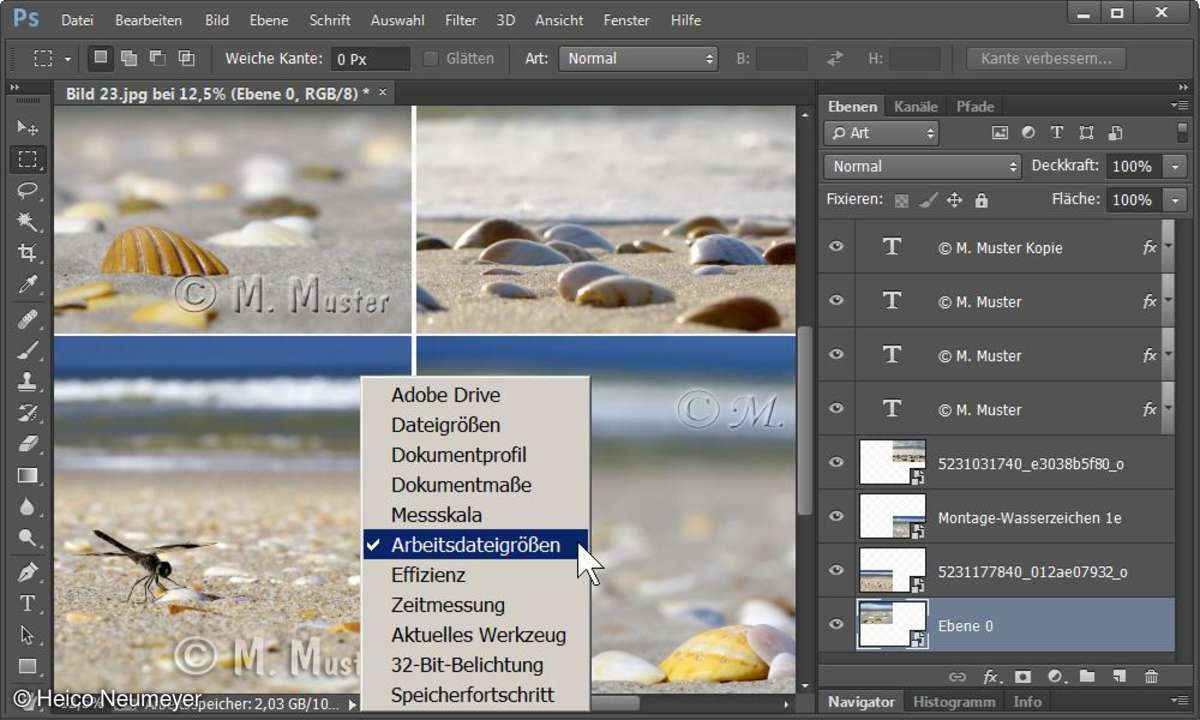 Wieviel Arbeitsspeicher braucht Photoshop momentan? (auch Elements)