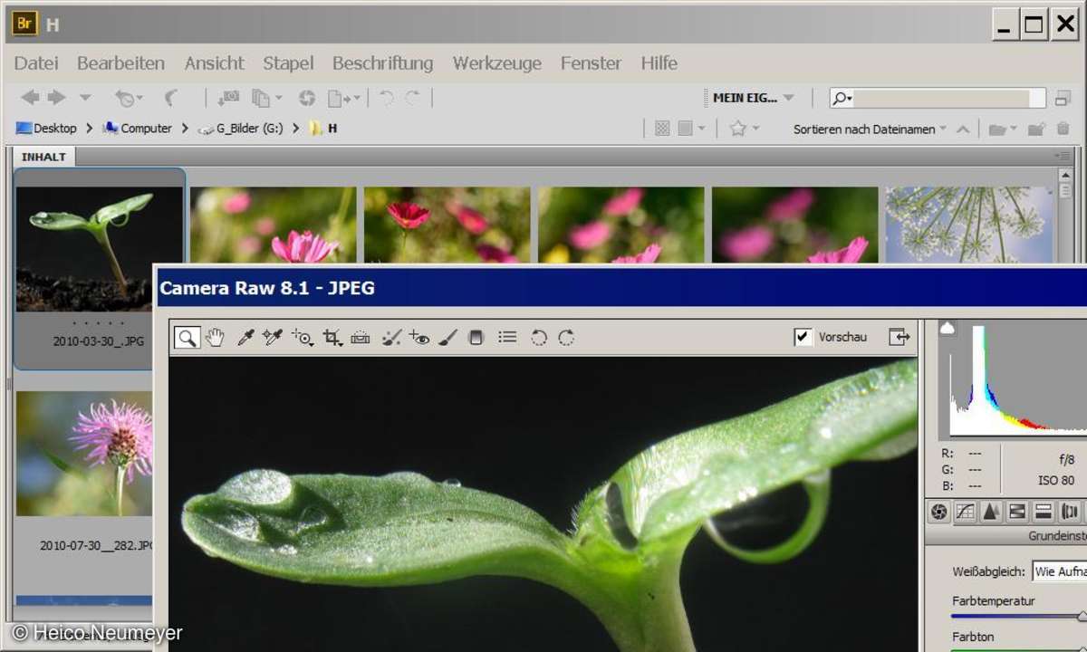 JPEG-Dateien im RAW-Dialog