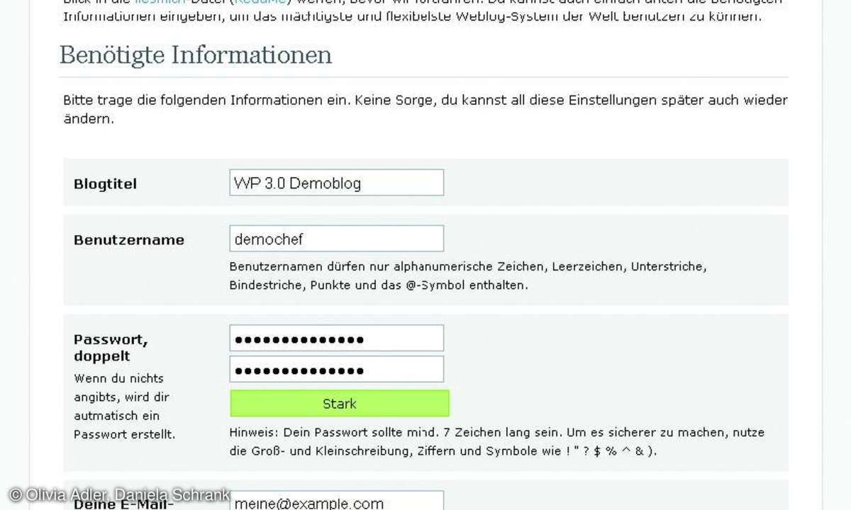internet, webdesign, cms, programmierung, software, wordpress, wordpress 3.0