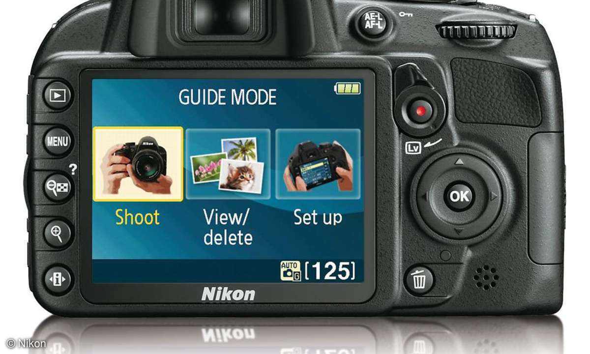Nikon D3100