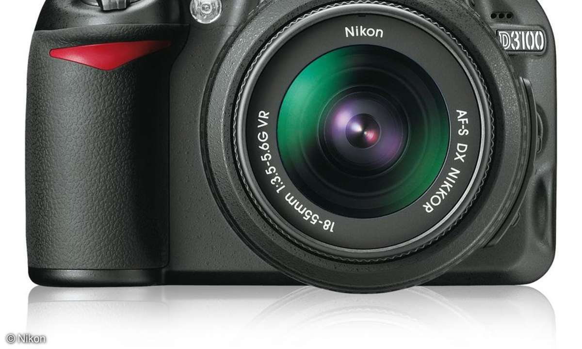Nikon D3100
