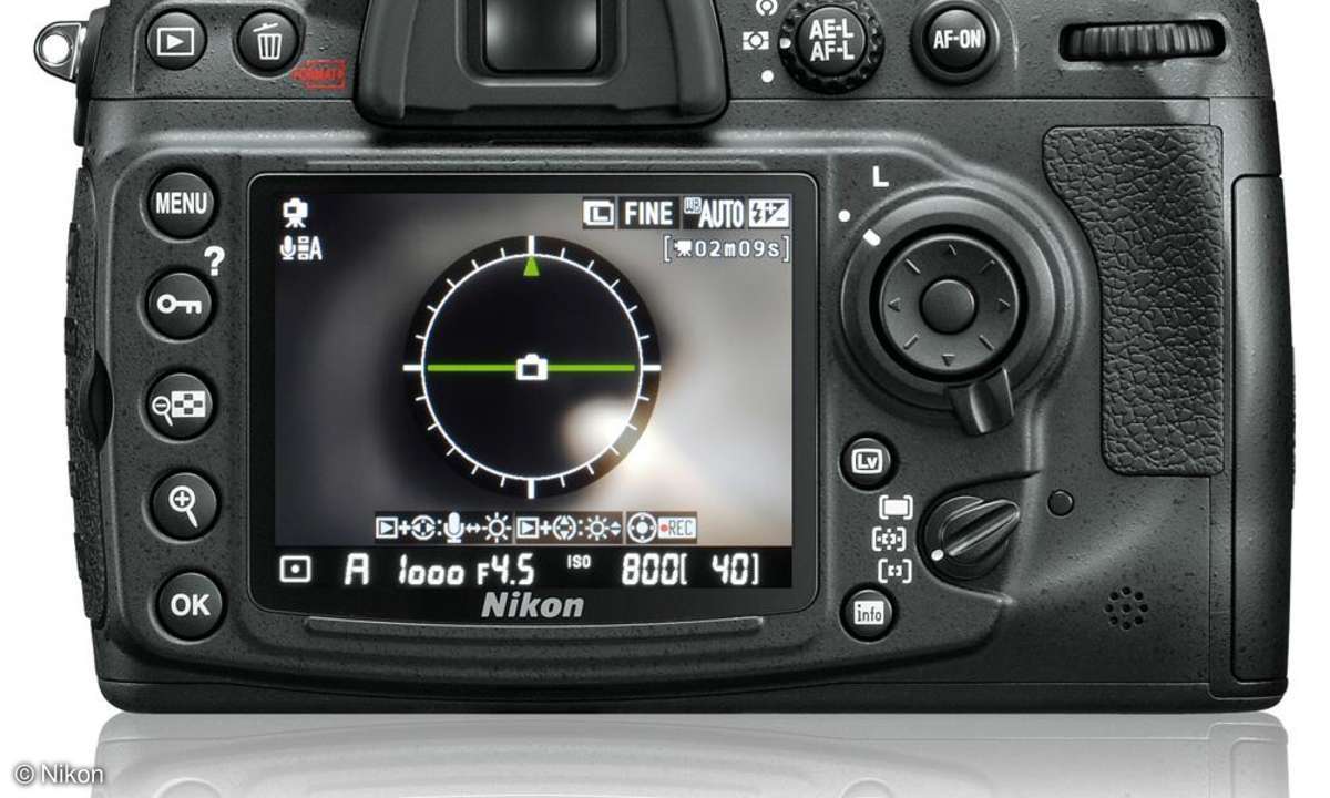Nikon D300s