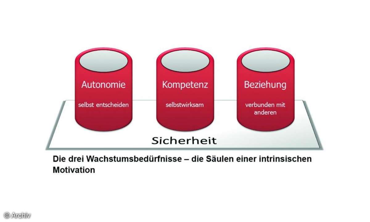 Drei zentrale Wachstumsbedürfnisse