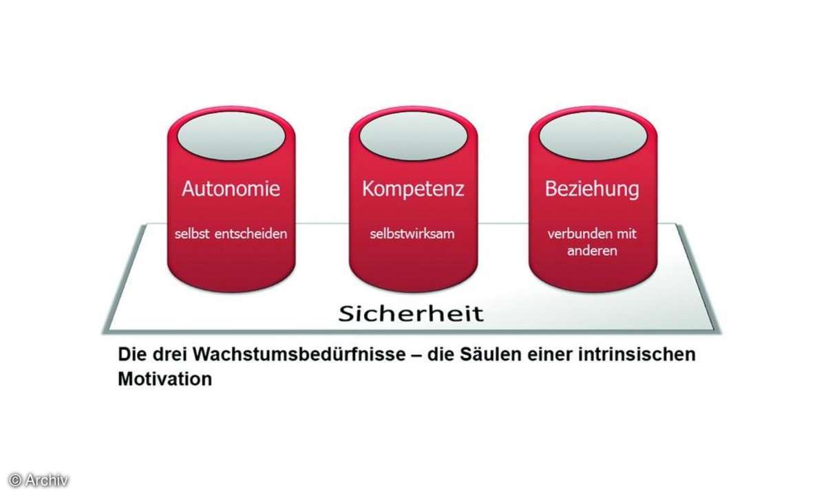 Drei zentrale Wachstumsbedürfnisse